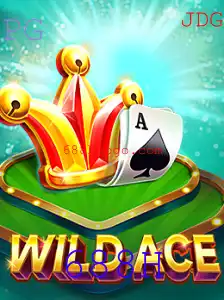 Explorando o Mundo de WildAce: Um Guia Completo